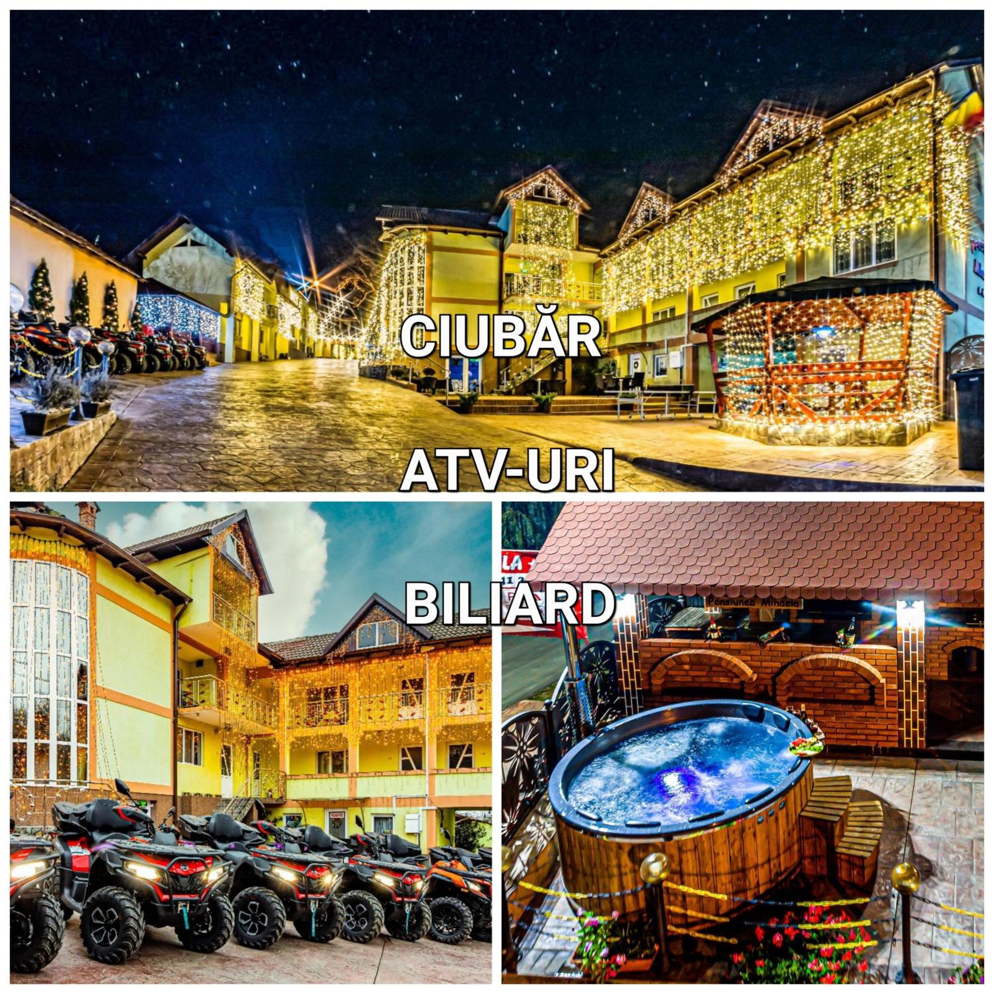 Pensiunea Mihaela-Transalpina Novaci-Străini Zewnętrze zdjęcie