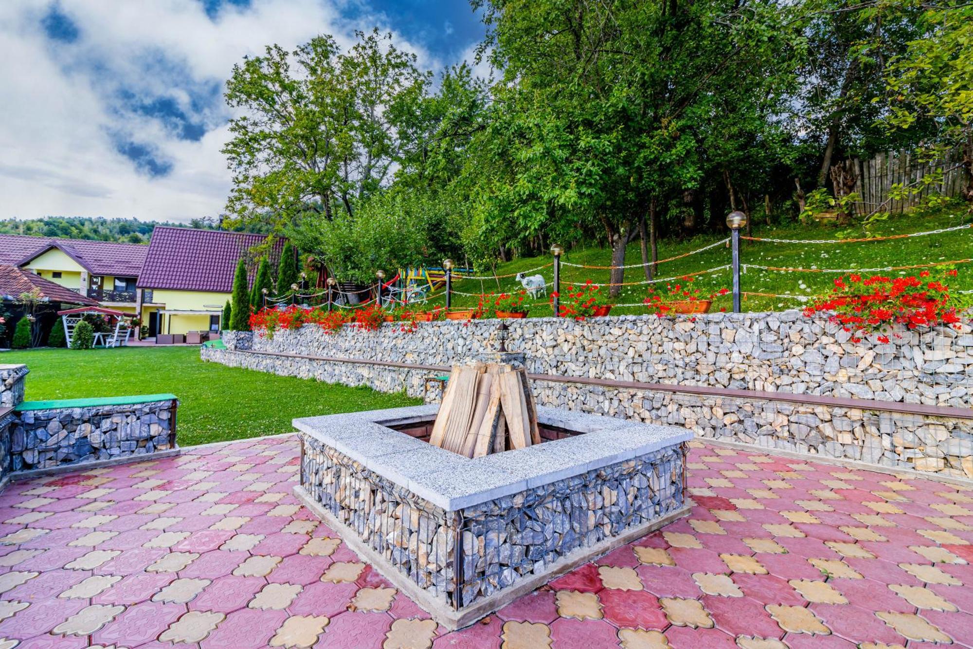 Pensiunea Mihaela-Transalpina Novaci-Străini Zewnętrze zdjęcie